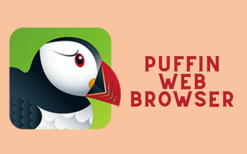 Bạn c&oacute; thể dễ d&agrave;ng tải v&agrave; c&agrave;i đặt Puffin Web Browser từ App store